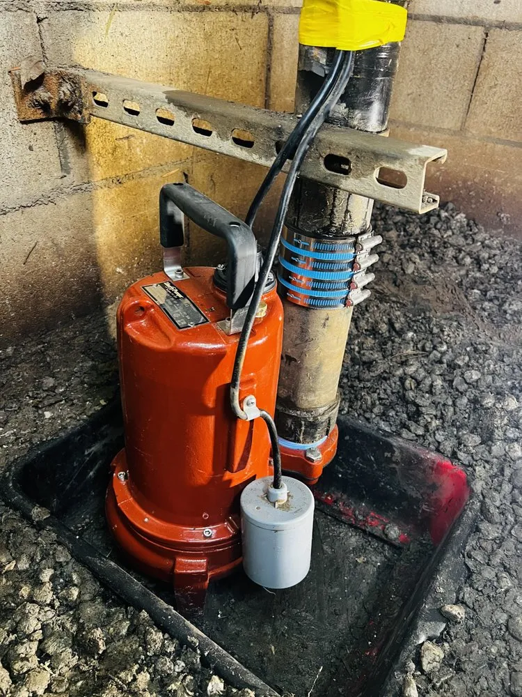 Slide of YELLOW BEE plumbing