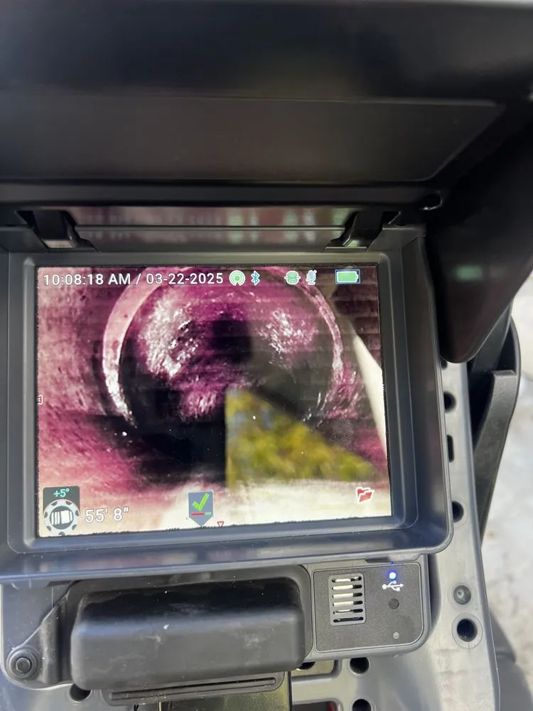 Slide of YELLOW BEE plumbing