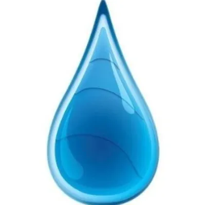 Slide of Yerbilla Services