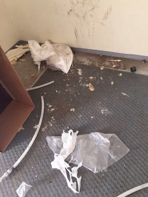 Slide of Yes Diagnosing And Plumbing