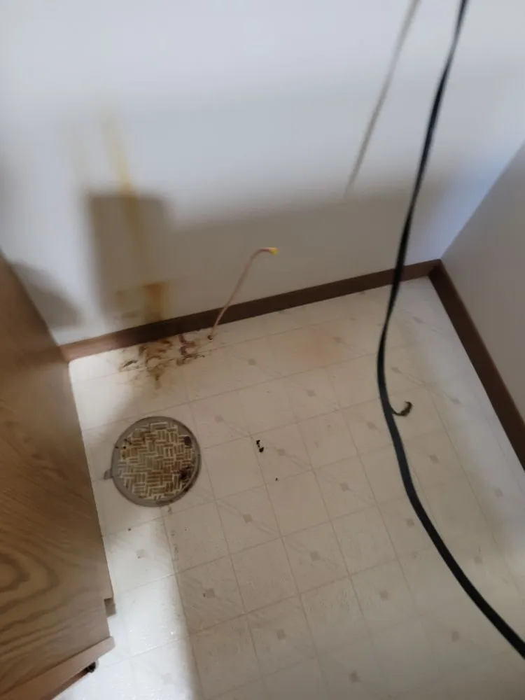 Slide of Yetti Plumbing