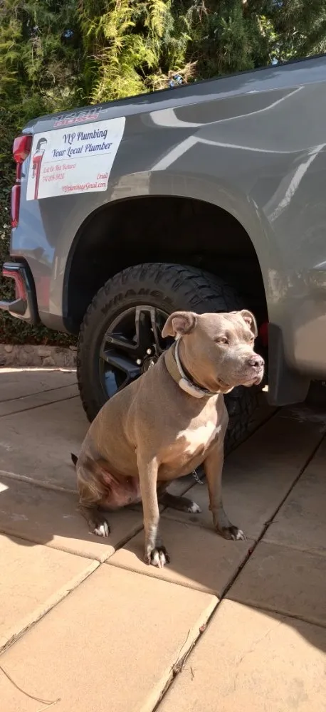 Slide of YLP Plumbing