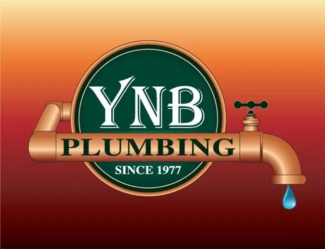 Slide of YnB Services