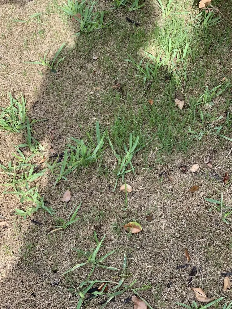 Quality drain cleaning in St. Augustine, FL by Yosemite Irrigation and Landscaping