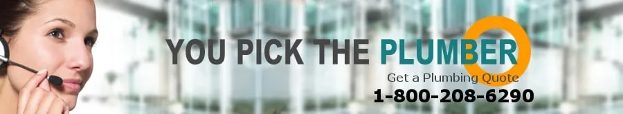 Slide of You Pick The Plumber