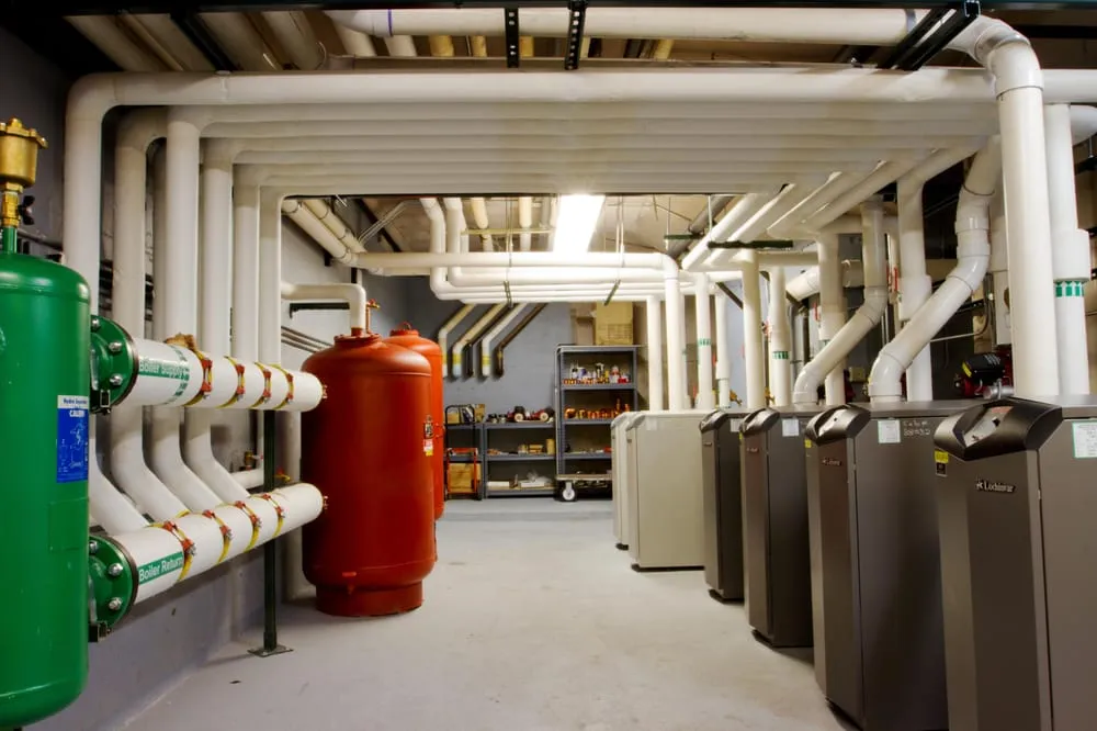 Slide of Young Services