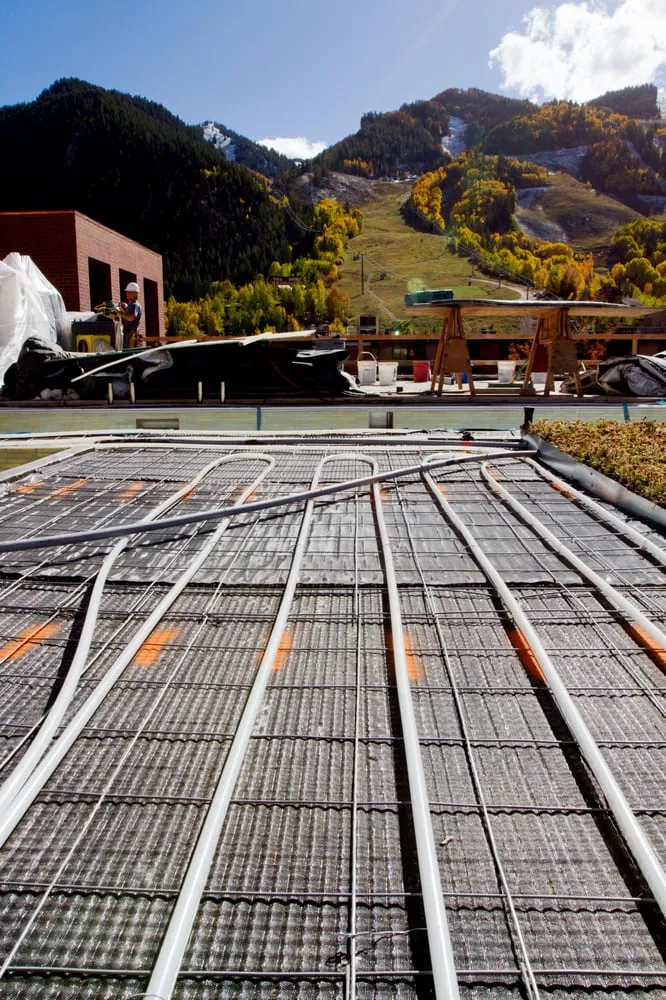 Slide of Young Services