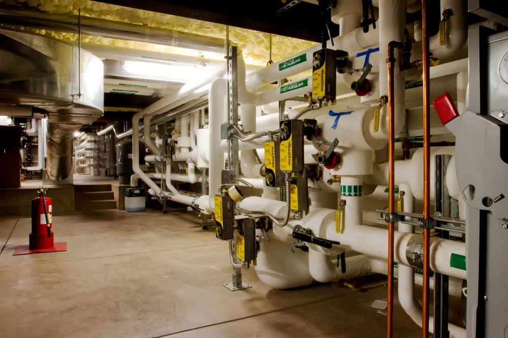 Slide of Young Services