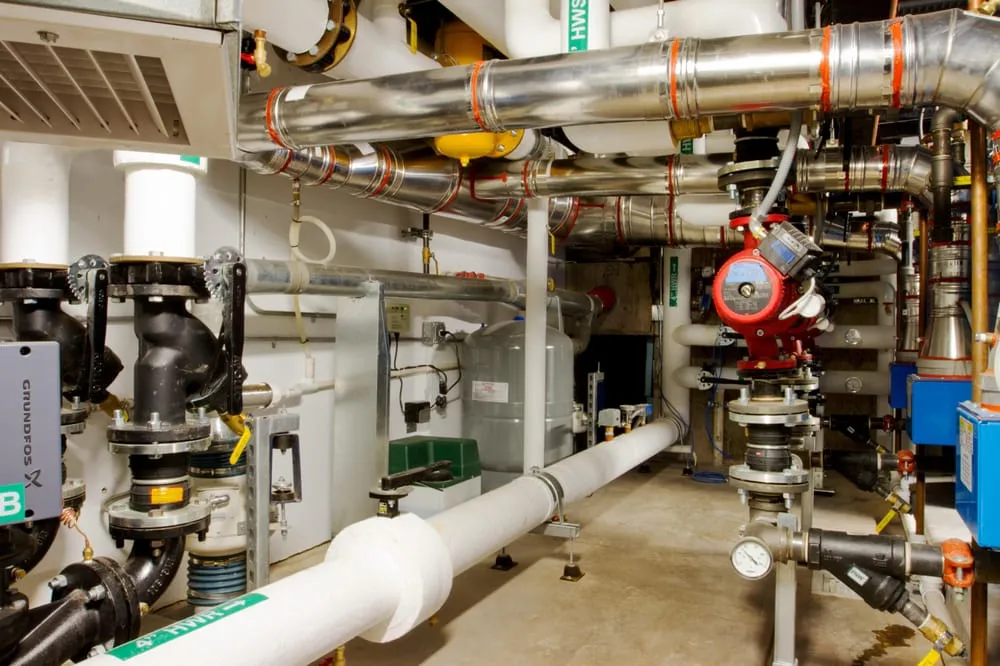 Slide of Young Services