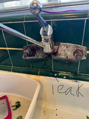 Young's Plumbing Company Logo