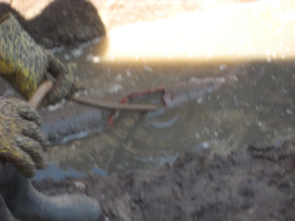 Slide of Your Local Plumber