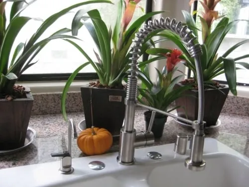 Slide of Your Local Plumber