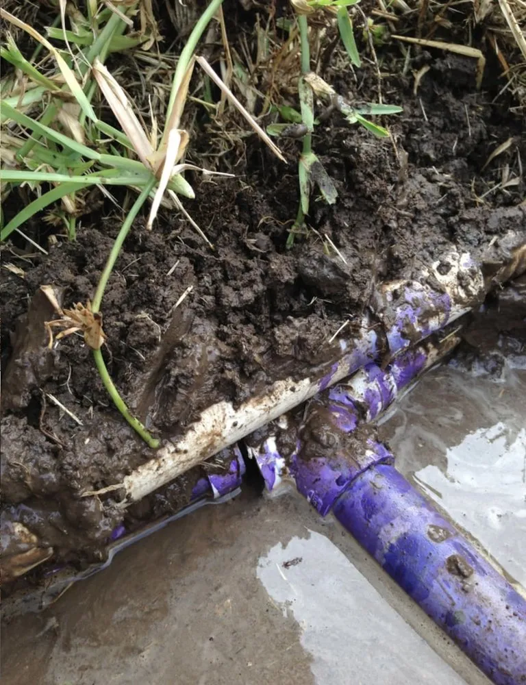 Slide of Your Local Plumber