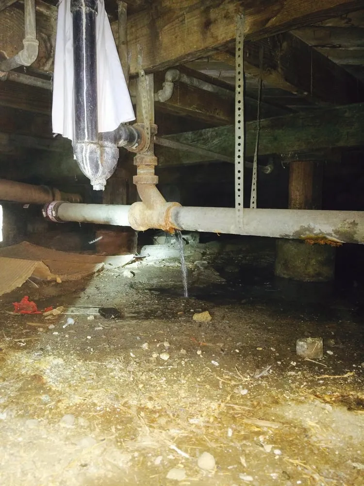 Slide of Your Plumber Guys