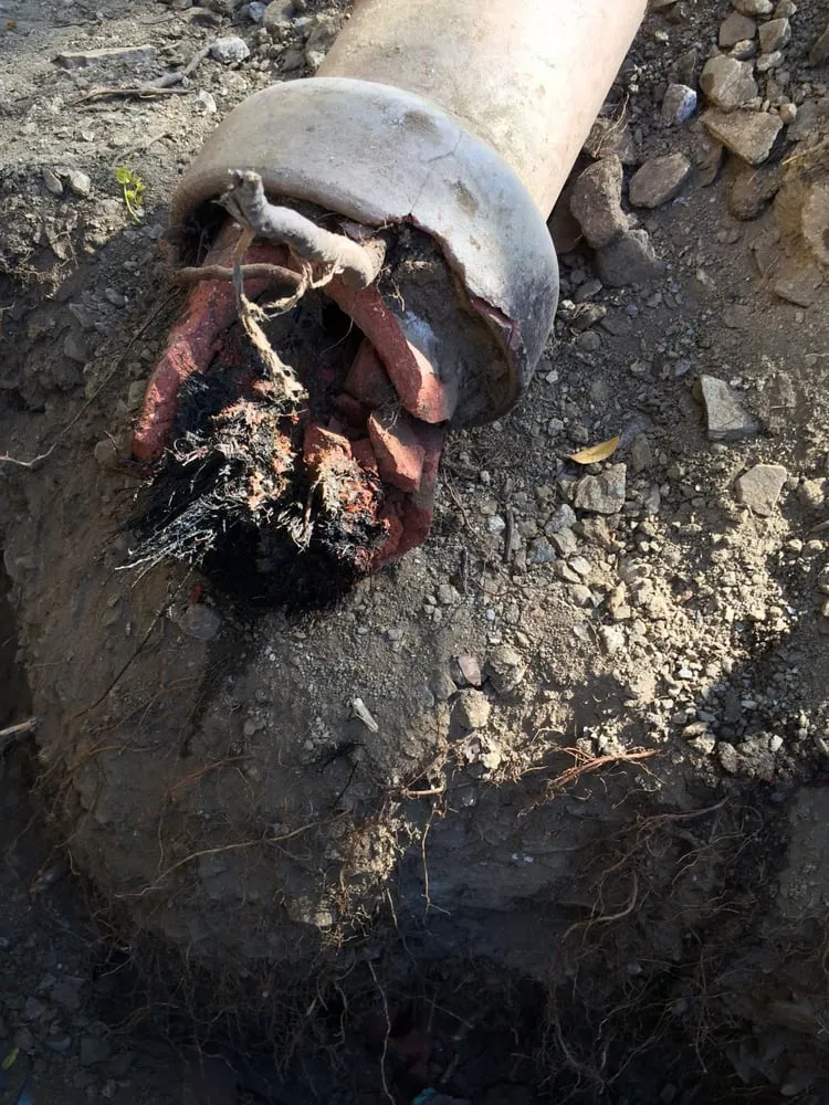 Slide of Your Plumber Guys