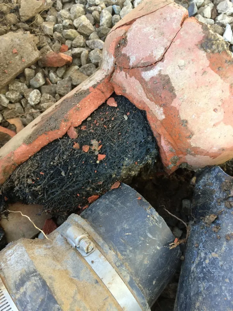 Slide of Your Plumber Guys