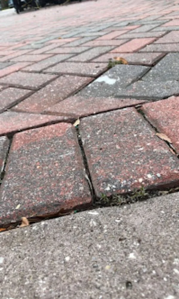 Top-rated pipe repair experts serving Summerville, SC - Your Problem Our Solution