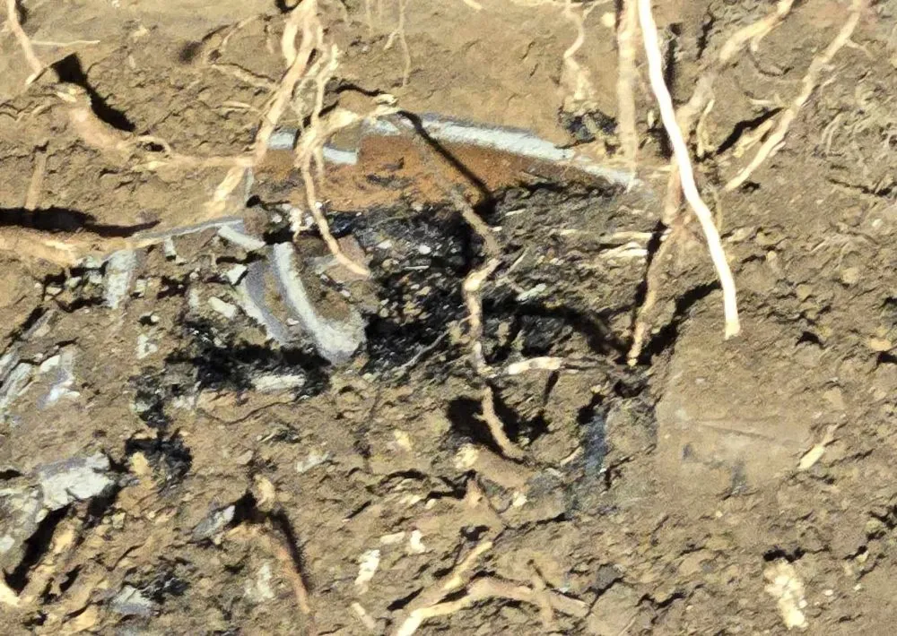 Expert plumbing repair experts serving New Albany, IN - Your Second Opinion Plumbing