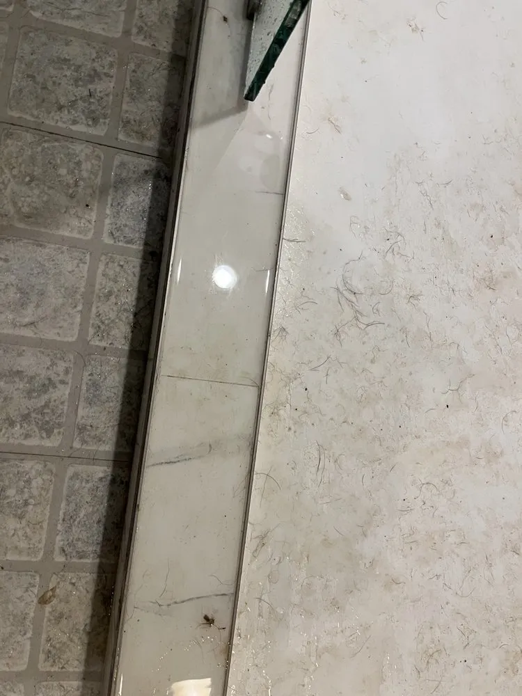 Slide of YourProject4Less