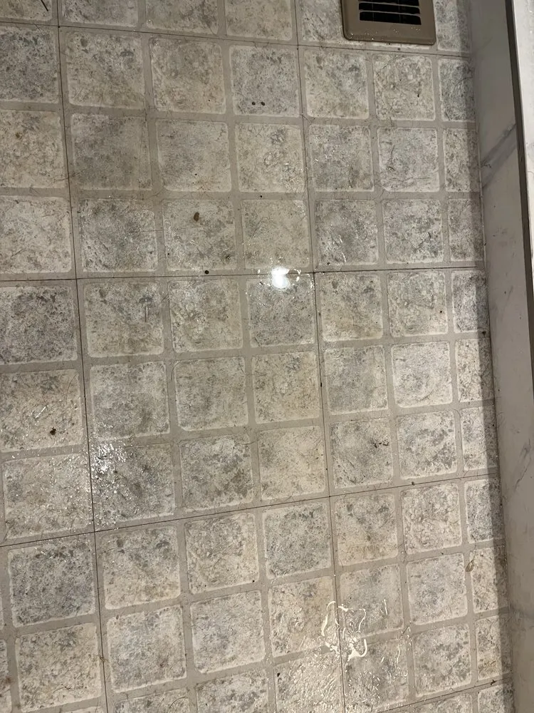 Slide of YourProject4Less