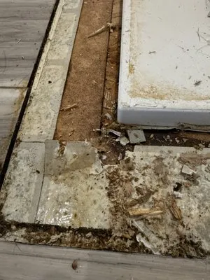 YourProject4Less Logo