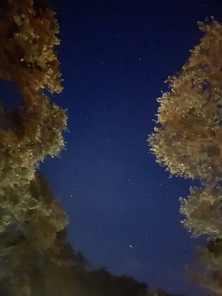 Slide of Z and Z Plumbing