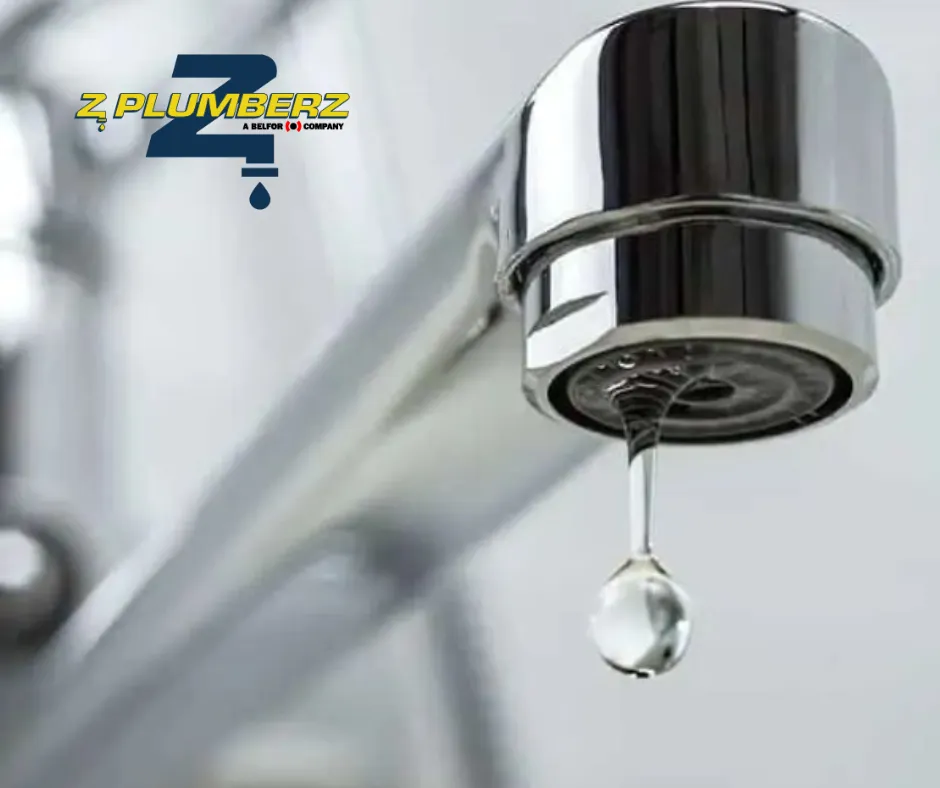 Slide of Z PLUMBERZ of New Haven