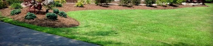 Slide of Zaccone Landscape Irrigation