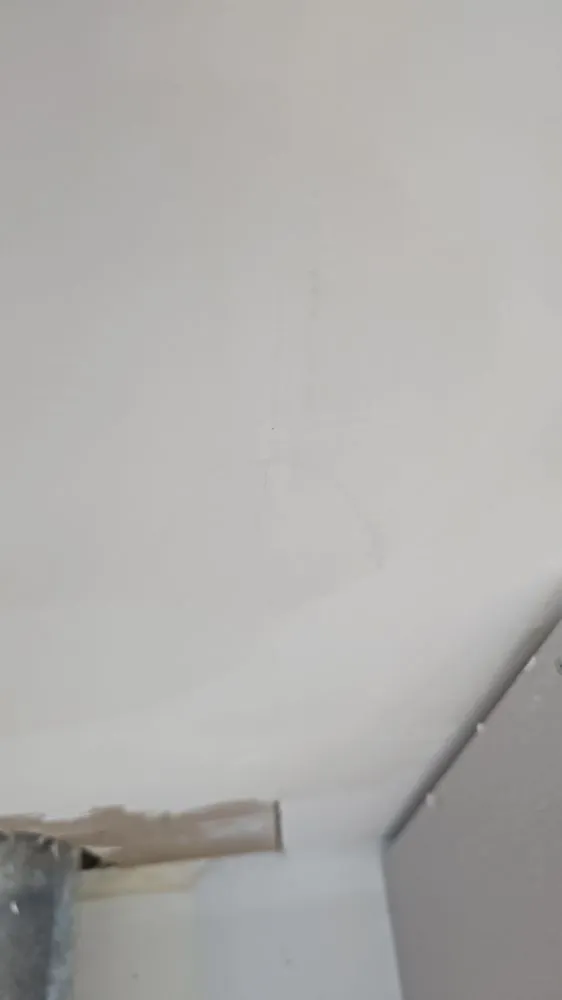 Slide of Zal's Handymen