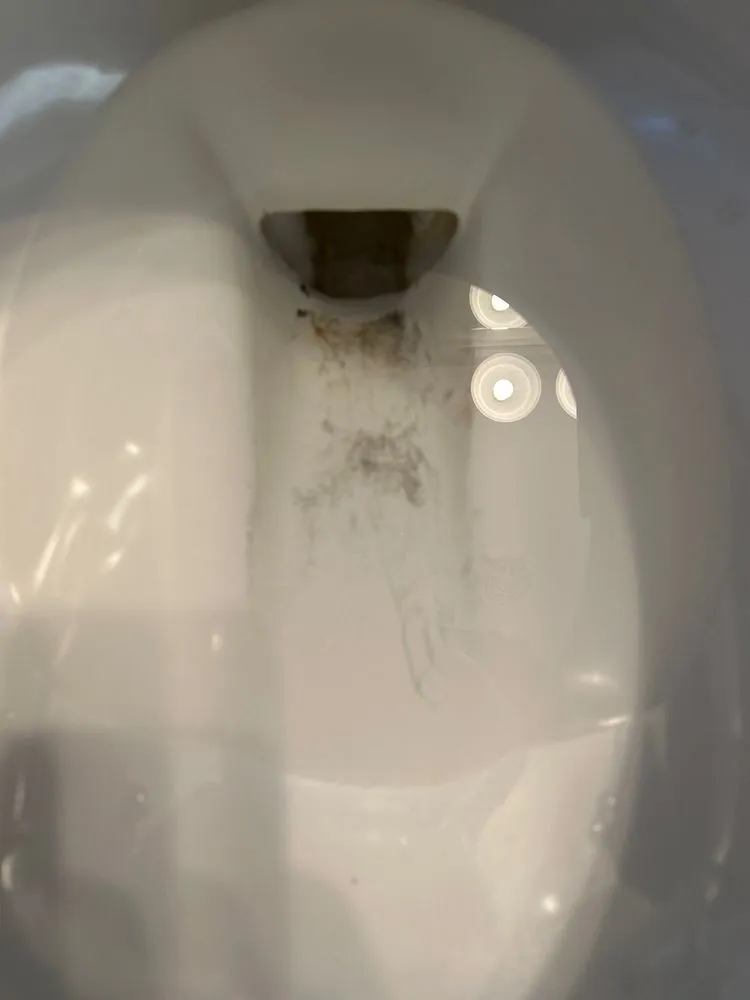 Slide of Zaragoza Plumbing Team