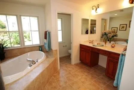 Zaragoza's Plumbing Logo