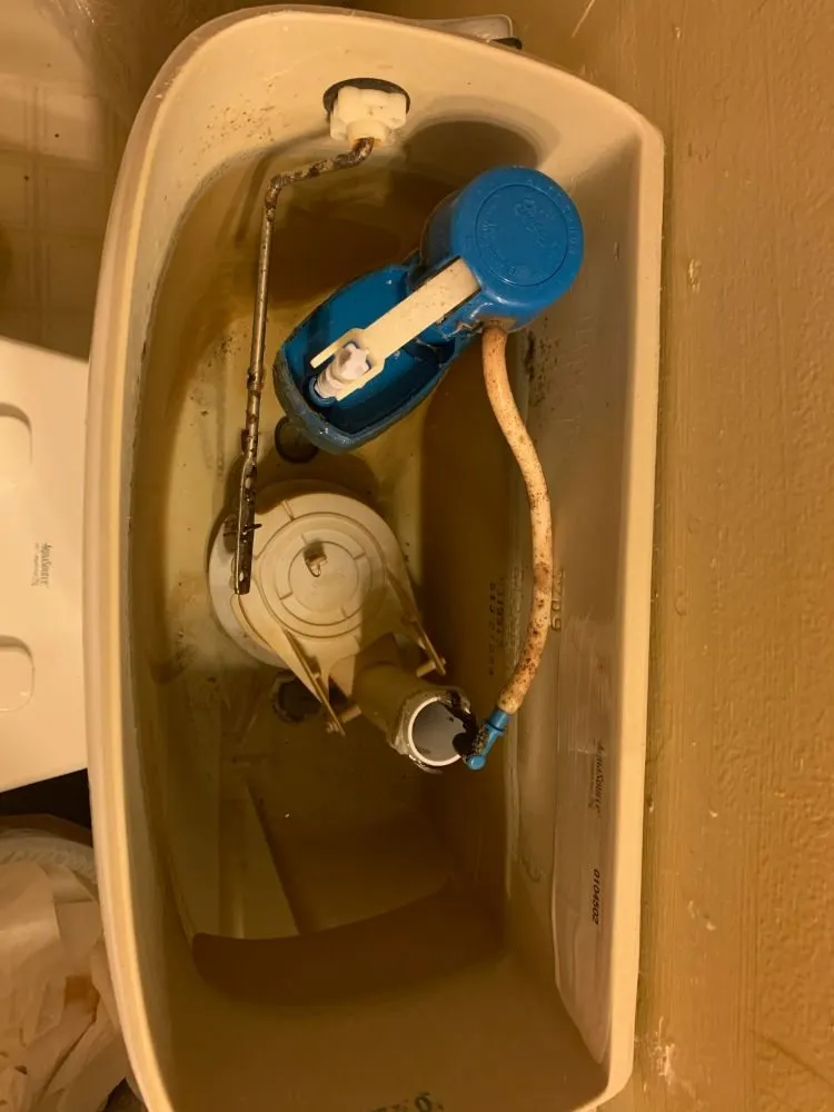 Professional drain cleaning in Newark, DE by Zarah Wilson Home Improvement