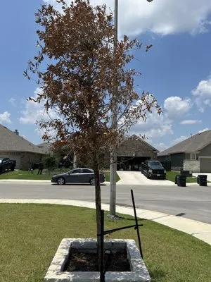 ZDC Plumbing and Landscape Company