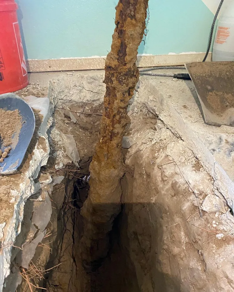 Slide of Zeek’s Plumbing