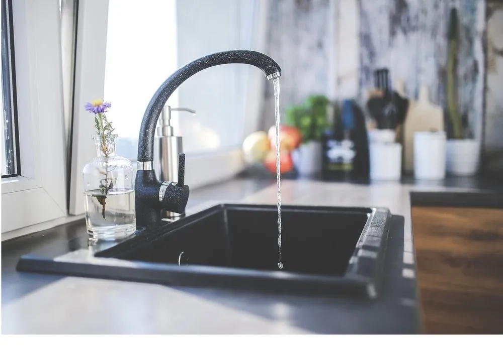 Slide of Zenia Maintenance