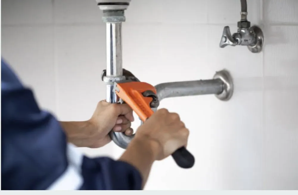 Slide of Zenia Maintenance