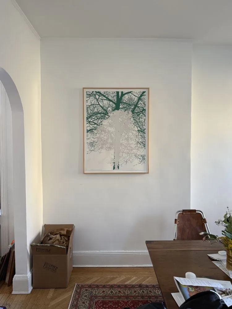 Slide of ZHYR Development