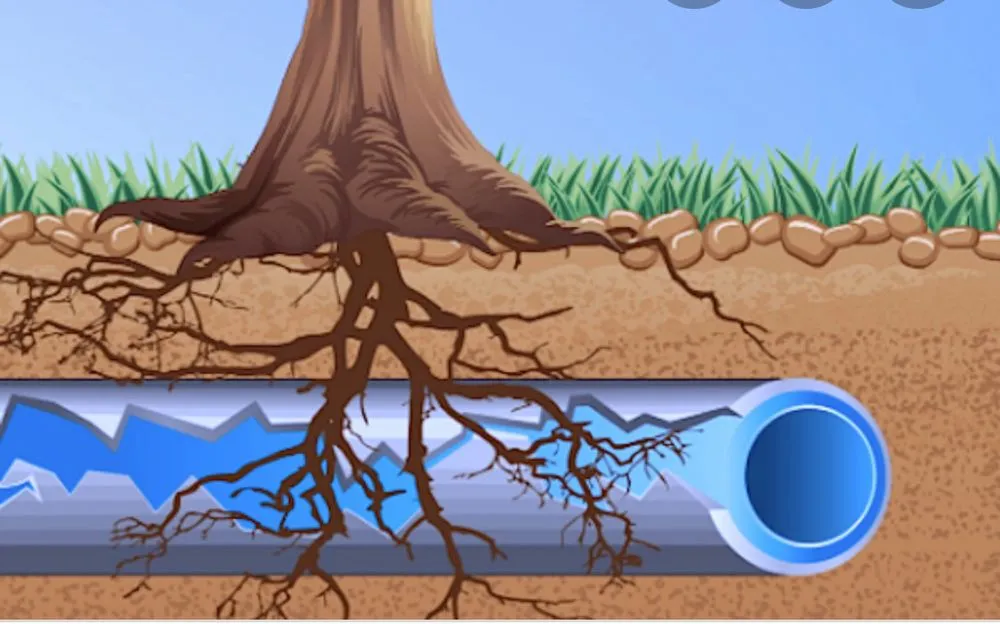 Slide of Zippity Split