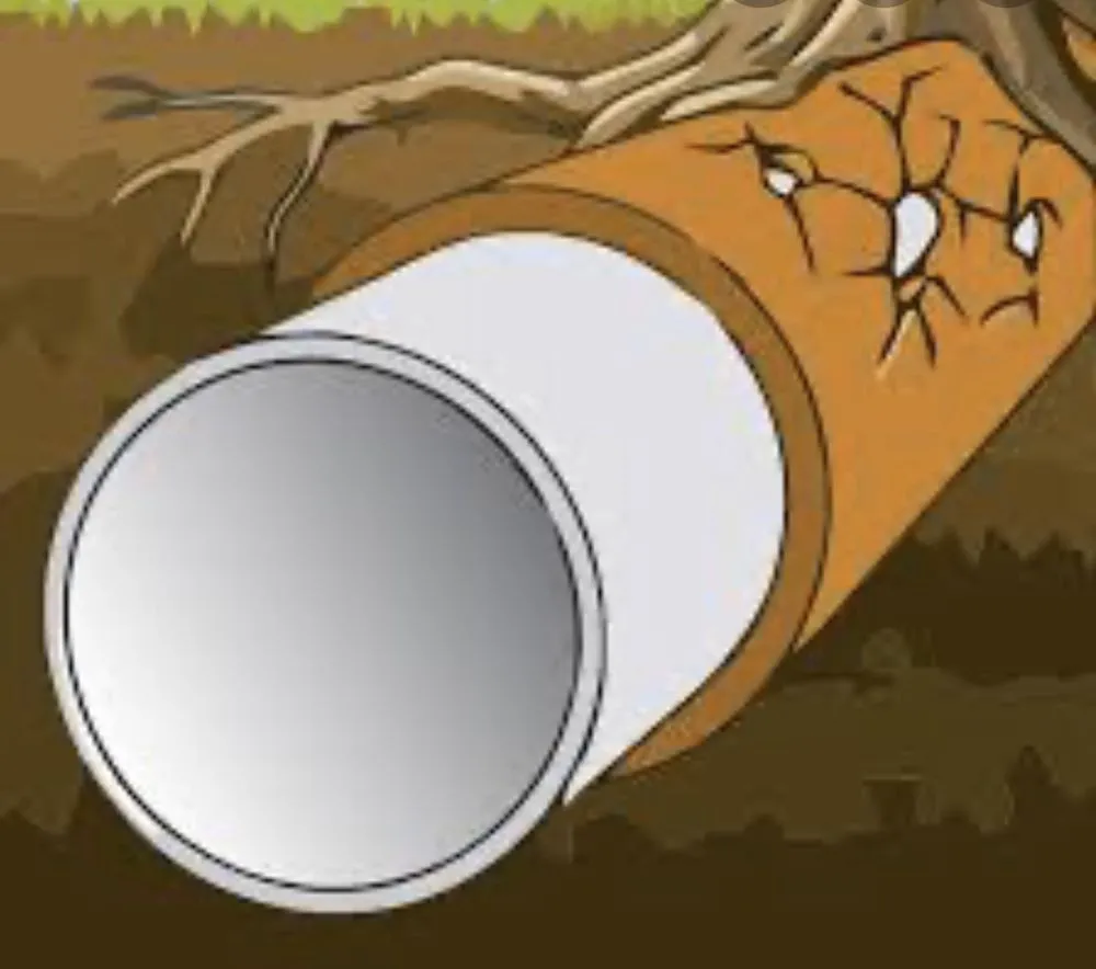 Slide of Zippity Split