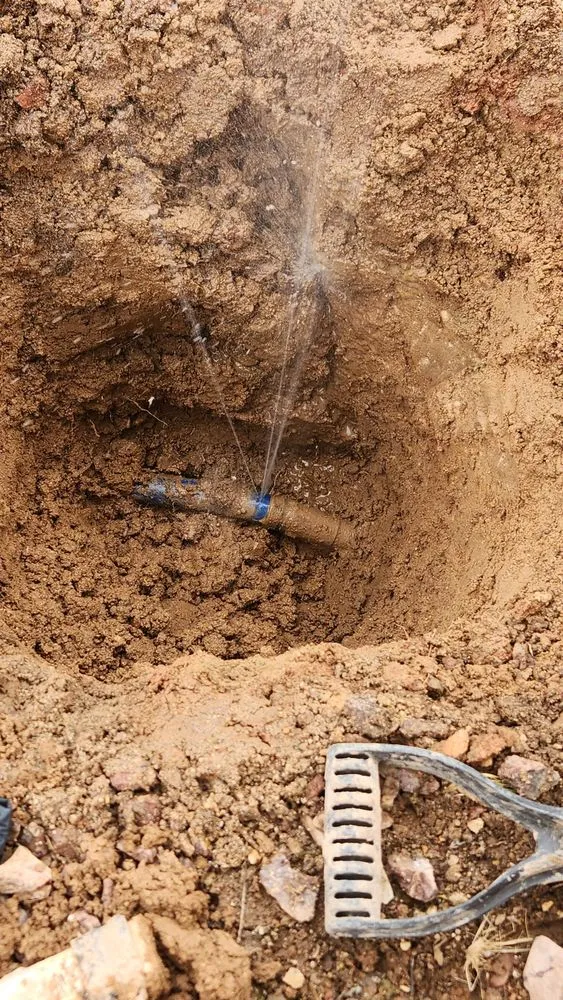 Slide of Zippity Split