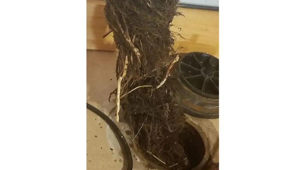 Slide of Zippy Drain