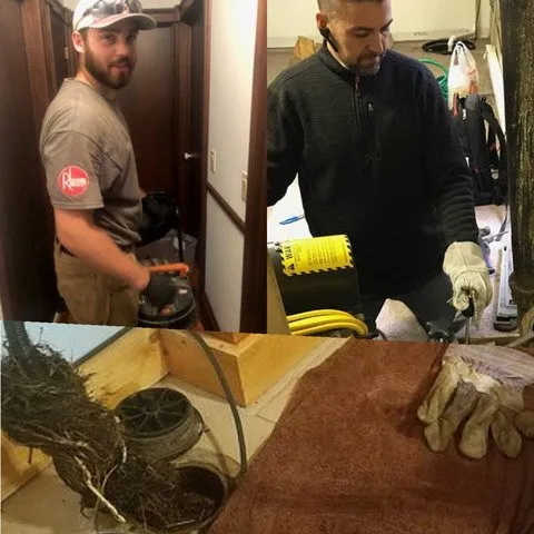 Slide of Zippy Drain