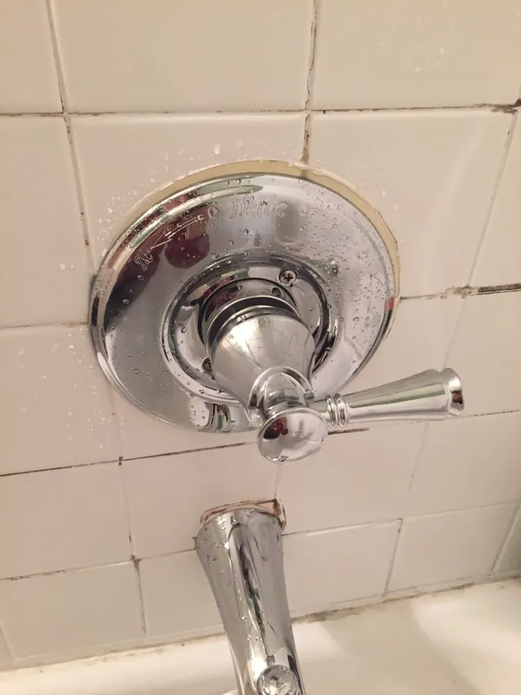 Slide of Zippy Plumber