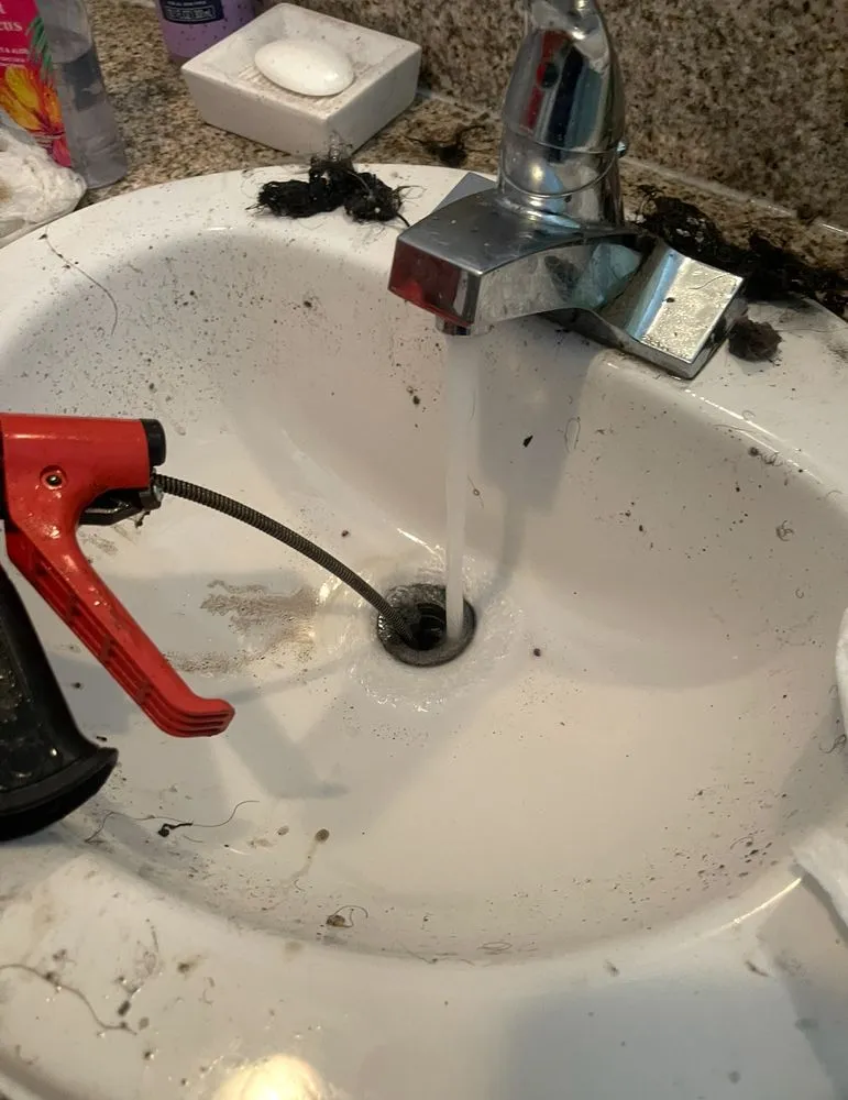 Slide of Zippy's Drains