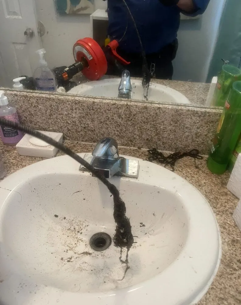 Slide of Zippy's Drains