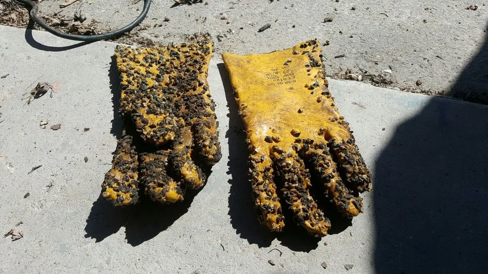 Slide of Zoom Drain & Cesspool