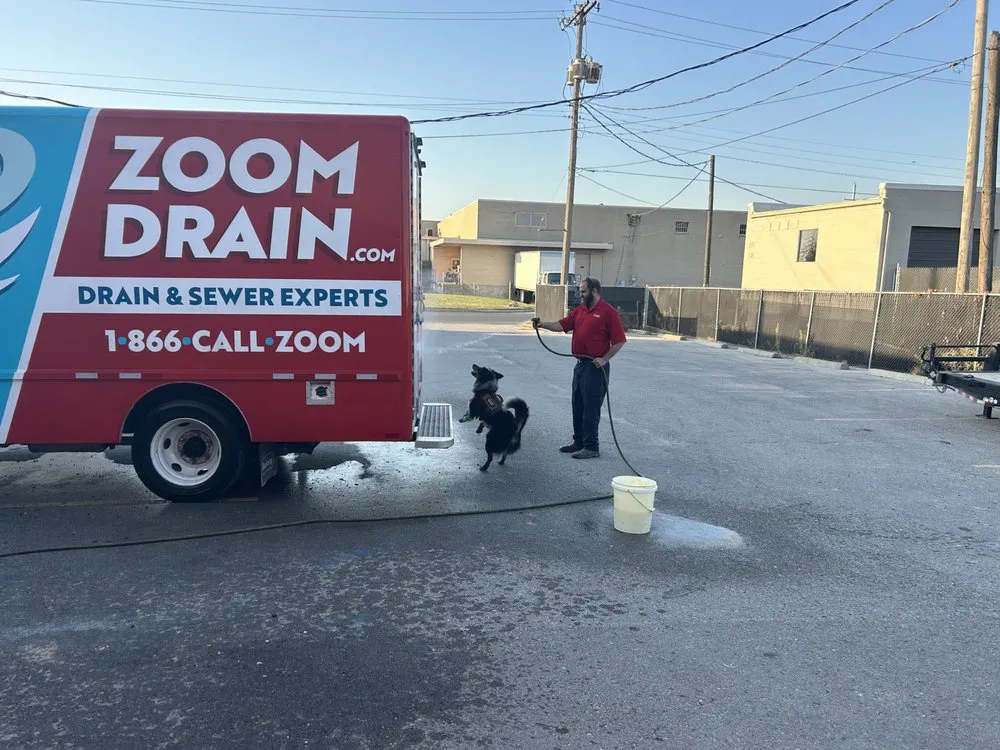 Slide of Zoom Drain