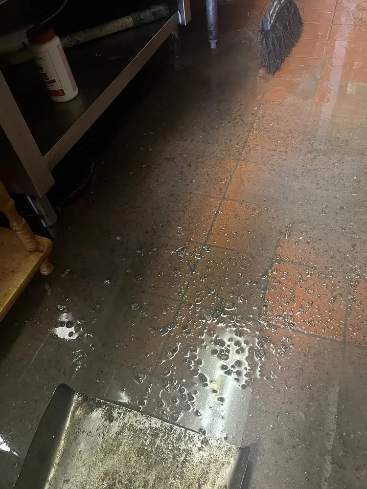 Reliable drain cleaning in Plymouth Meeting, PA by Zoom Drain