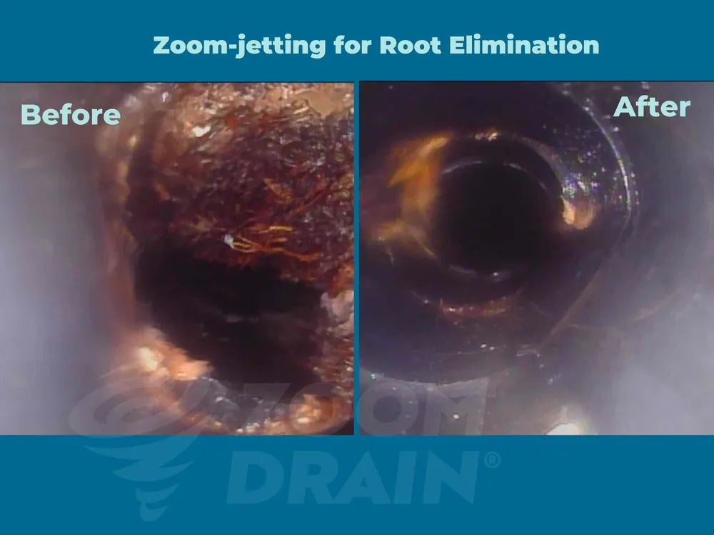 Top-rated pipe repair experts serving Escondido, CA - Zoom Drain SD North County